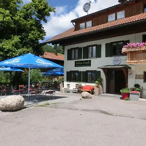 Goldiger Hirsch Immenstadt im Allgäu